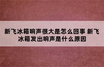 新飞冰箱响声很大是怎么回事 新飞冰箱发出响声是什么原因